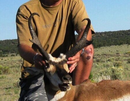 wta_1587_M0JN1O_TyCaltonAntelope