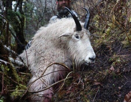 wta_1595_DVUKQS_2016