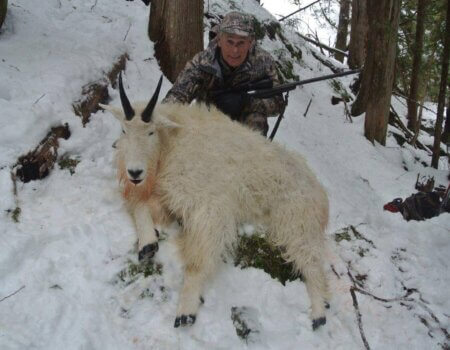 wta_1595_O9C8DB_MtnGoatLateSeason