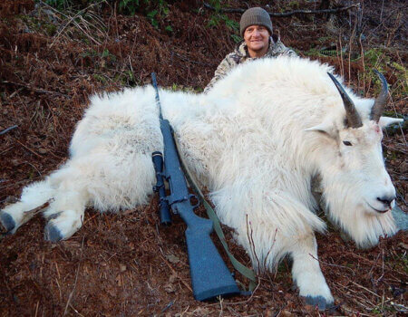 wta_1595__featured_D91IL4_MtnGoatLate