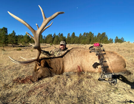 wta_1596_J.P. Bull Elk