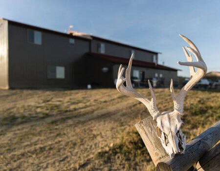 wta_1596_MADD94_DS_90777