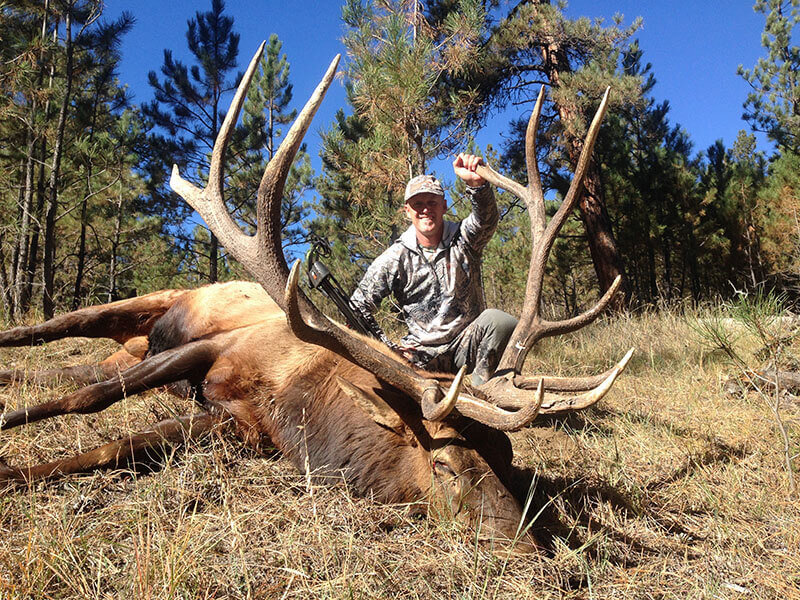 World Class Elk Hunt In Montana