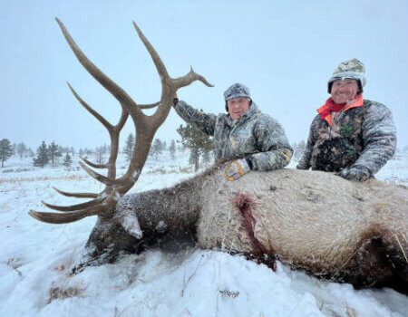wta_1596_elk-6