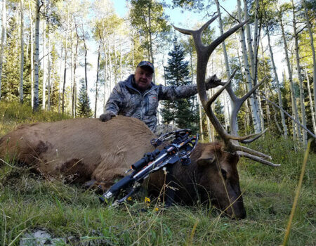 wta_1601_6JL3Z7_Unit61bullelkNL