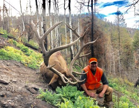 wta_1601_Arnie 2019 1