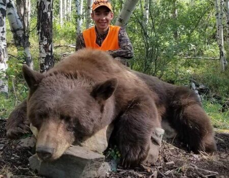 wta_1601_KMBKL2_Unit61BearNL