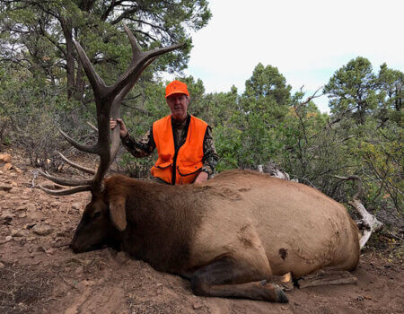 wta_1601_QOSQIO_Unit62MuzzleloaderNL