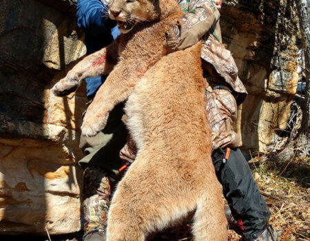 wta_1602_DYA9XU_ConnieCOlionNL