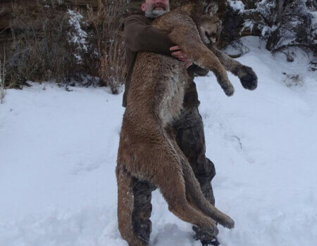 wta_1602_FE0FW9_ArtLeeLionNL