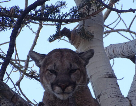 wta_1602_NMR23K_DSC00581