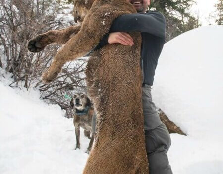 wta_1602_S1W76C_JustinUTlionNL