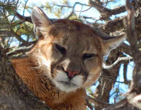 wta_1602_XE5KH5_DSCN1290