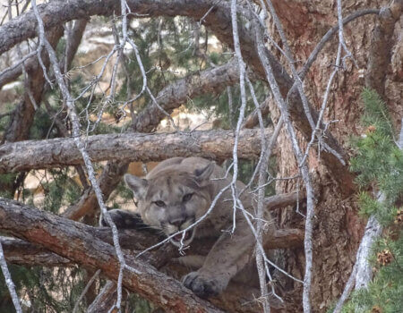 wta_1602__featured_MYQHO2_DSC01034