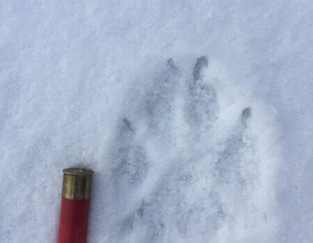 wta_1603_9150AF_iphonephotosvideos2016212