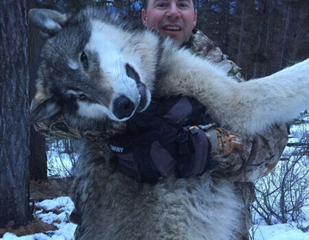 wta_1603_Q619H5_AaronAndersonWolf2