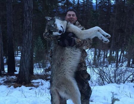 wta_1603__featured_WJJSK0_AaronAndersonWolf