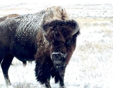 wta_1607_24YCOV_IMG_1825