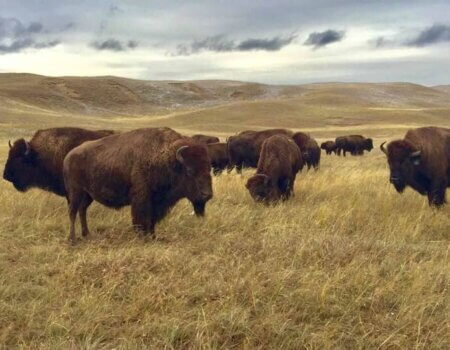 wta_1607_E4XJJP_IMG_1831