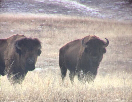 wta_1607_GE5785_IMG_8647