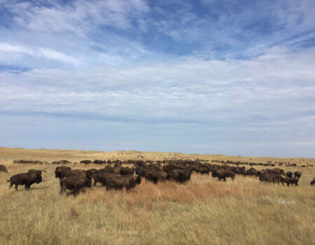 wta_1607_LU6I8F_IMG_0486