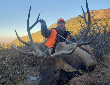 wta_1609_David Siegel 2019