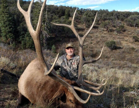 wta_1610_GOSHUTE BULL #10 - '22