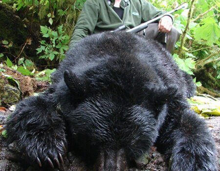 wta_1616_EGVBXG_blackbear05a