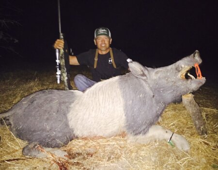 wta_1618_2NOHFN_IMG_8772