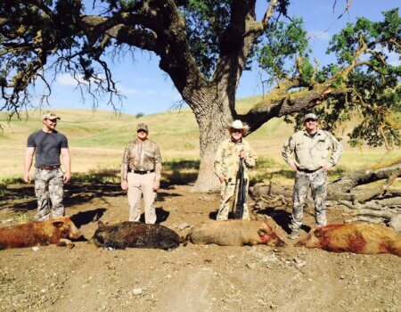 wta_1618_SA9RXD_IMG_8770