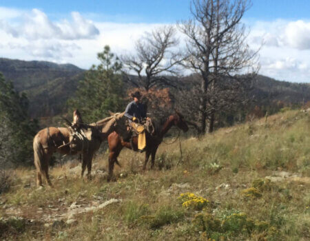 wta_1628_2WGPUK_IMG_07161