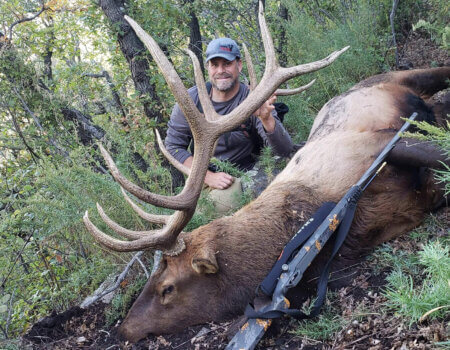 wta_1628_A2M42N_EricP.MuzBull