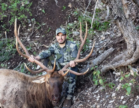 wta_1628_J9ZTTL_K9OutfittersBillyVassos2018Unit342