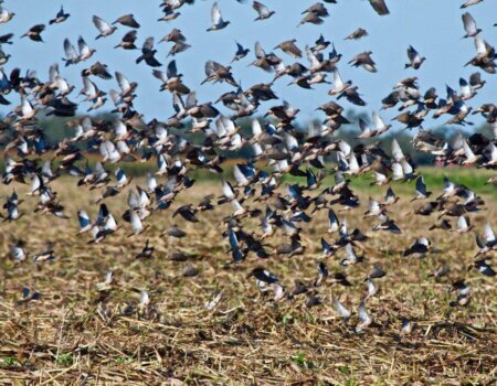 wta_1629_2JV8P9__MG_7444_preview