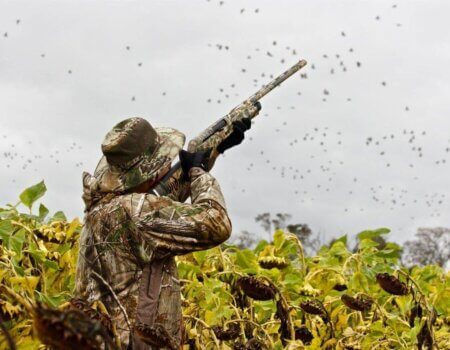 wta_1629_7V5BTW_IMG_1132_preview