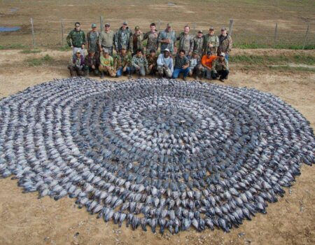 wta_1629_9PCTVX_AD4Y8121_preview