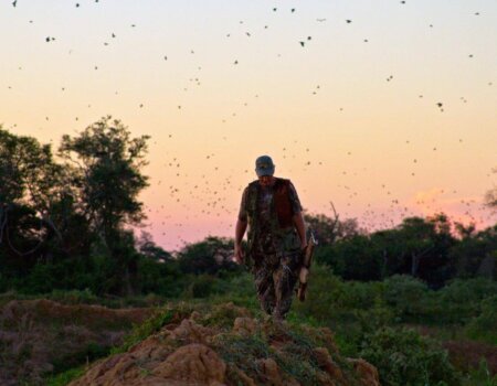 wta_1629_AQRLDA_Walking_preview