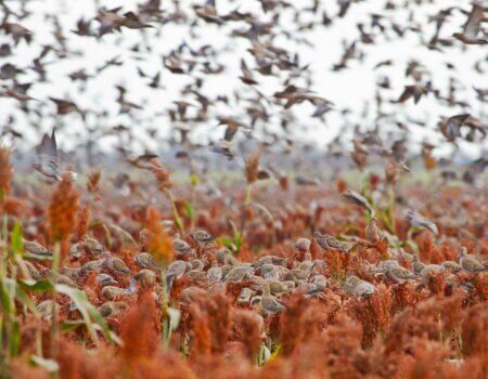 wta_1629_D3WRE4_2_preview