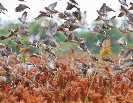 wta_1629_FJEKY4_9_preview