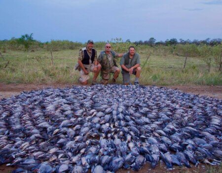 wta_1629_FVOAL1_AD4Y0638_preview