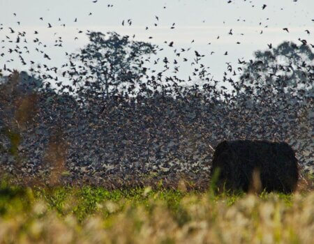 wta_1629_HOYD0I_5_preview