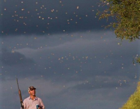 wta_1629_NIAIS6__MG_6191_preview