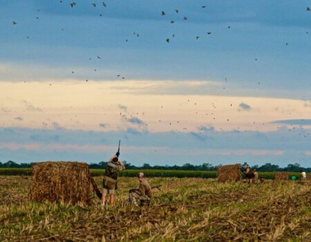 wta_1629_W72XXQ__MG_5370_preview