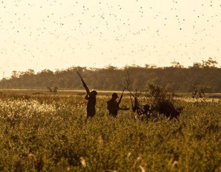 wta_1629_XRGCPV__MG_5142_preview