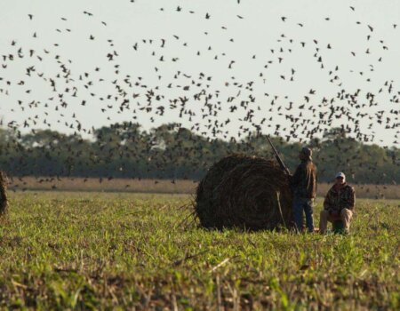 wta_1629__featured_BL9G1K__MG_8812_preview