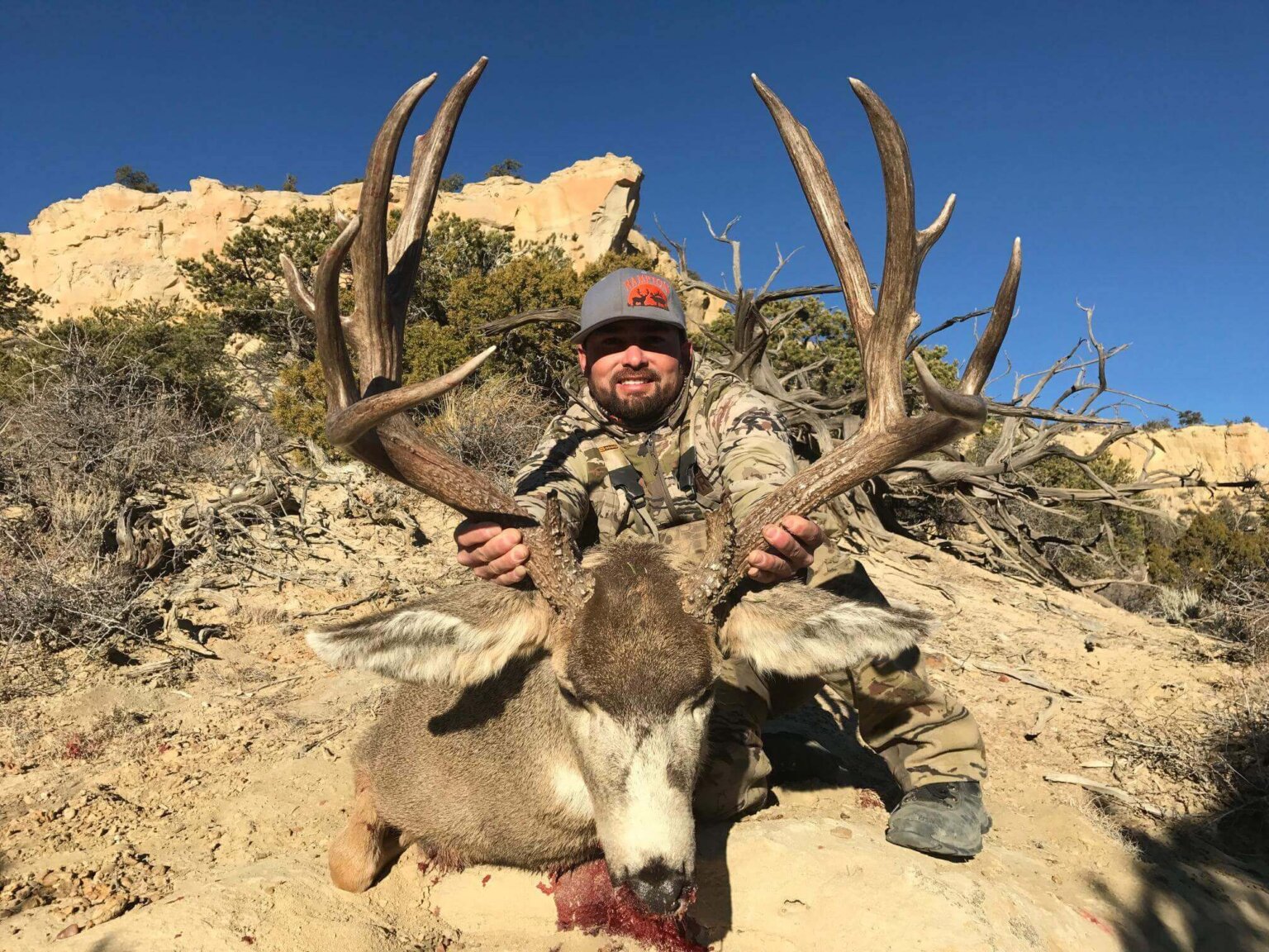 Trophy Mule Deer In New Mexico's Top Units