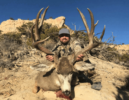 wta_1631_deer 1