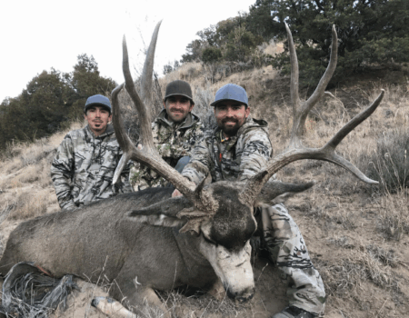 wta_1631_deer