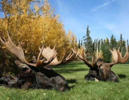 wta_1632__featured_S6YCXX_IMG_4120