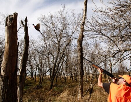 wta_1633_2U041M_HF1A9726